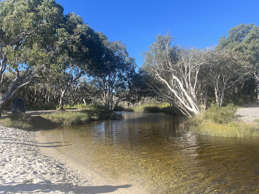 Tasman Venture - Thumbnail