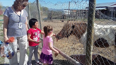 Broken Wheel Petting Farm