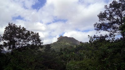 Photos of El Yunque
