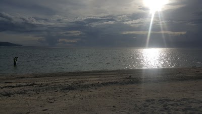 Photos of Mowies on the Beach