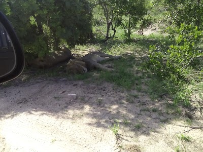 Photos of Thornhill Safari Lodge