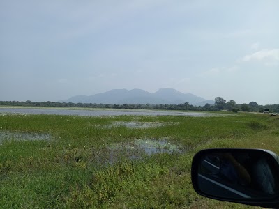 Photos of SHAN TRAVELS