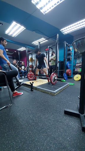 LiftingCo - Visual