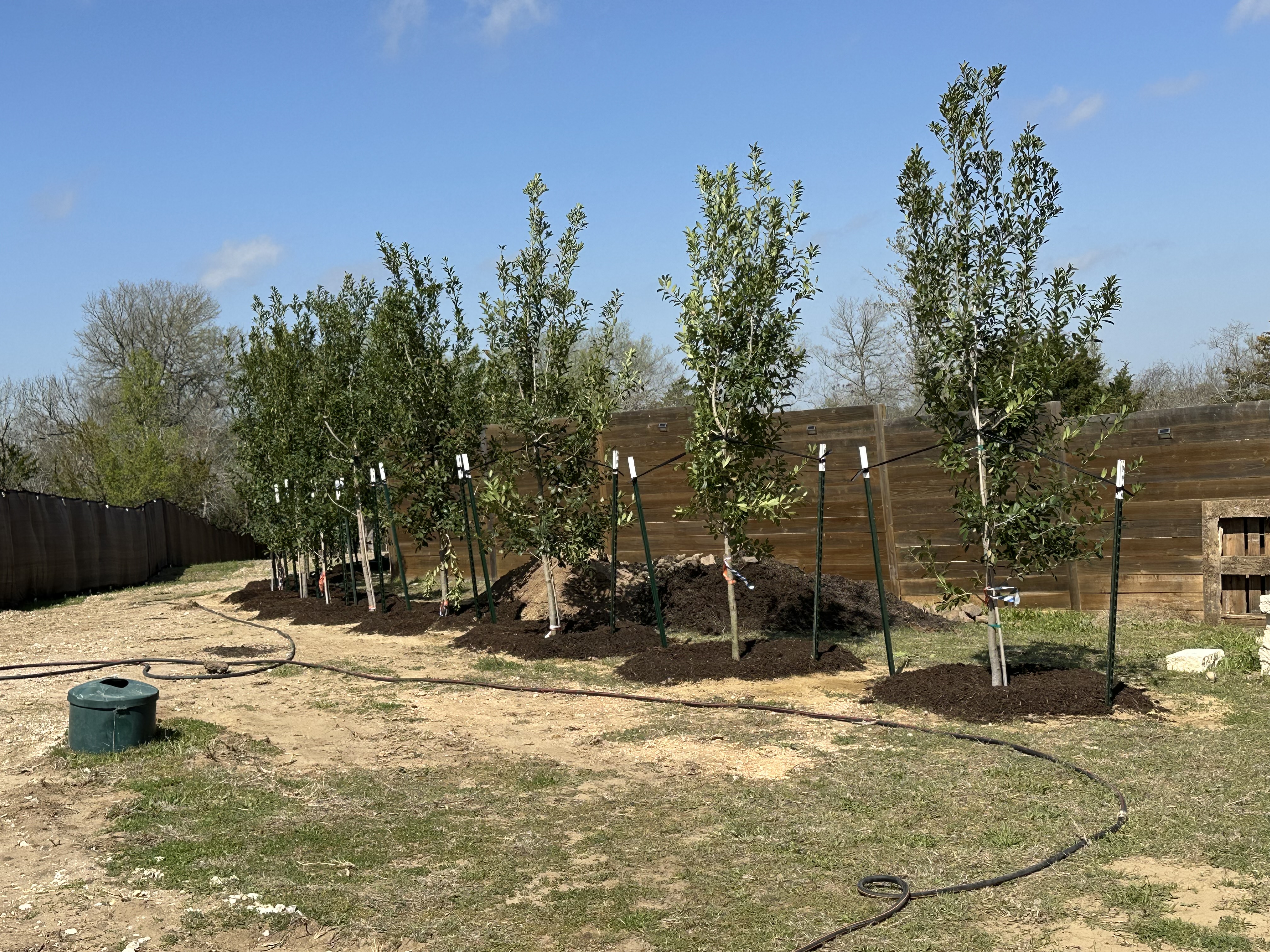 Hope Valley Tree Farm