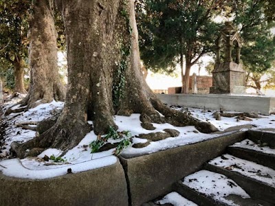 City Of Lake Charles Cemetery