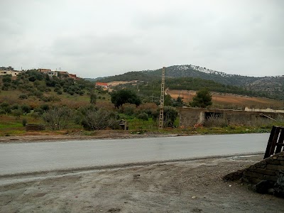 Photos of Grande Combe DINOS