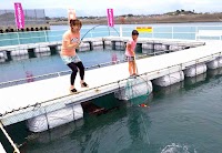 天草海上釣り堀 楽つり