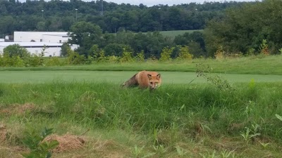 Photos of Deer Ridge Golf Club & Black Dog Tavern