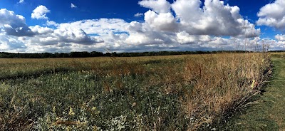 Photos of Sangamon River Forest Preserve