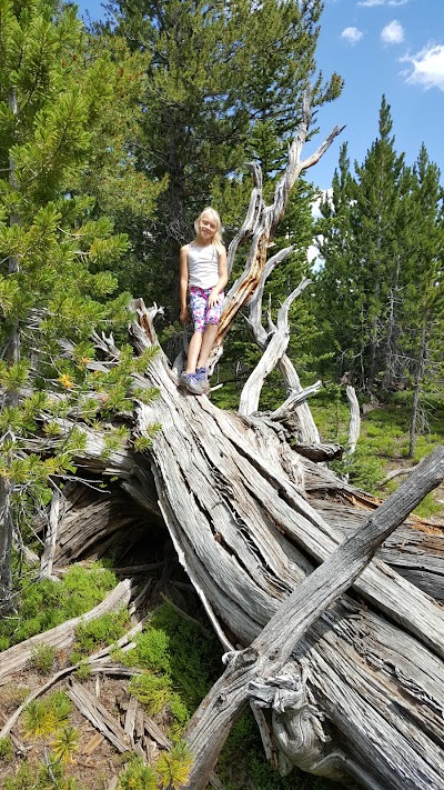 Meadow Lake Campground