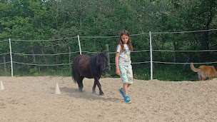 Photo n°17 de Ecole des poneys joyeux à Meilhan-sur-Garonne (Centre équestre)