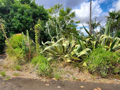 Enchanted Floral Gardens of Kula