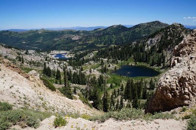 Uinta-Wasatch-Cache National Forest