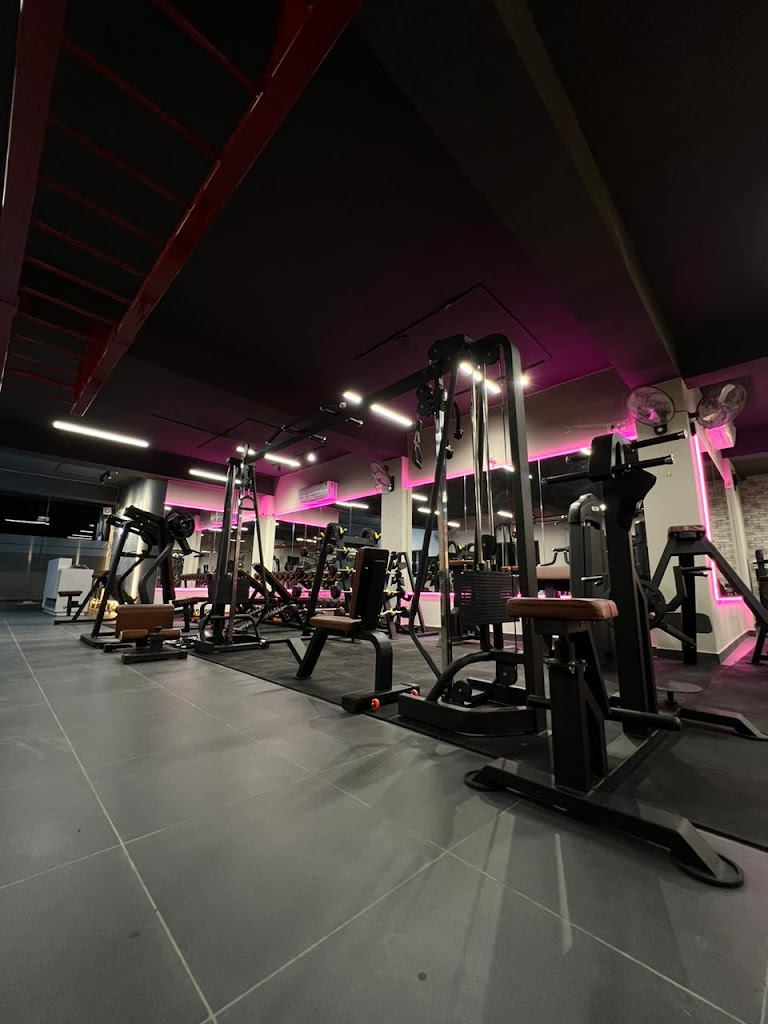 Max Fitness Unisex Gym Rama Mandi Jalandhar