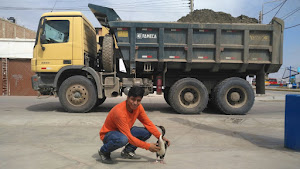 Estación de servicio PECSA - Combustibles SAC 8