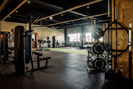 Imagen de la galería