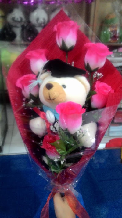 Photos of Toko Little Bear