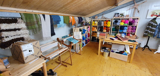 Wolboerderij Blij Bezuiden - DutchMerino Gallery - Netherlands