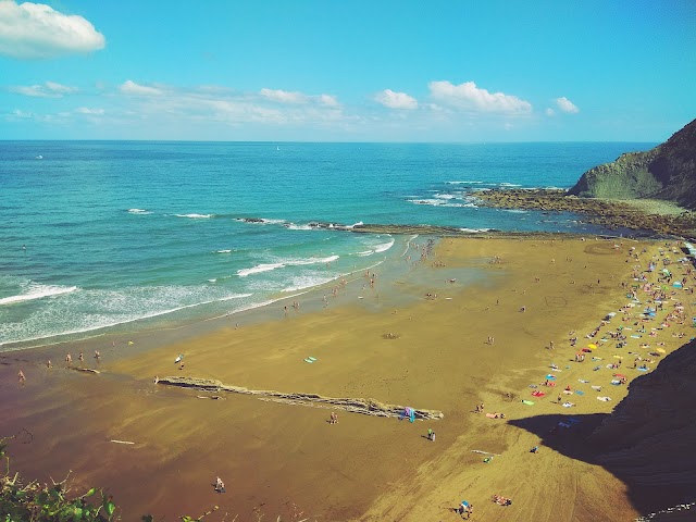 Flysch