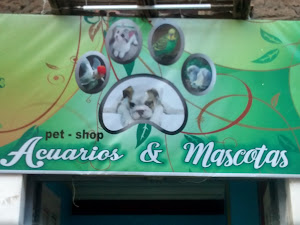 Acuarios & Mascotas 0