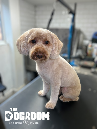 The Dogroom