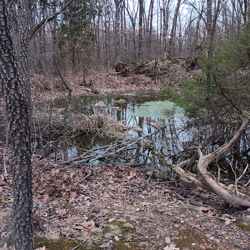 Bicentennial Conservation Area - Thumbnail