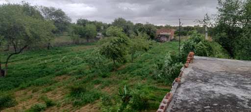 Gallery image 10