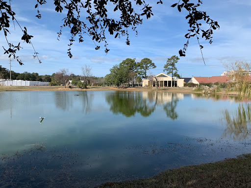 Southern Palms Memorial Gardens - Thumbnail