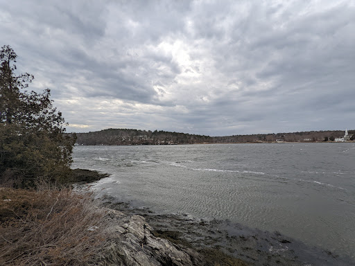Squirrel Point Light - Visual