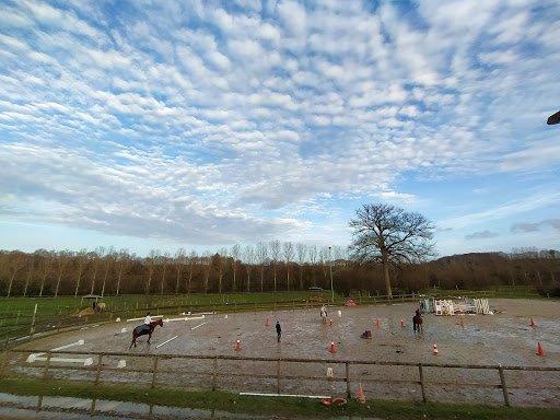 CENTRE EQUESTRE D AMBRIERES LES VALLEES - Thumbnail
