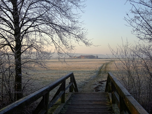Offenstall Hahnbach - Visual