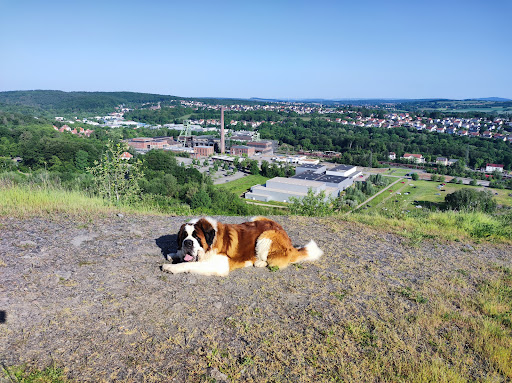 Bergehalde Landsweiler-Reden - Thumbnail