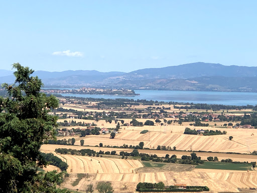 Comune di Panicale - Visual