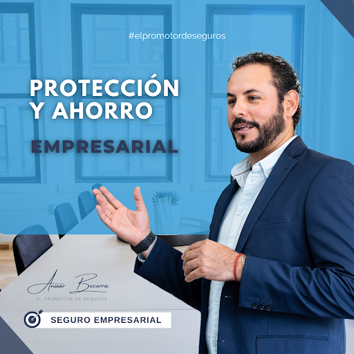 ABecerra Promotoría Gallery - Mexico