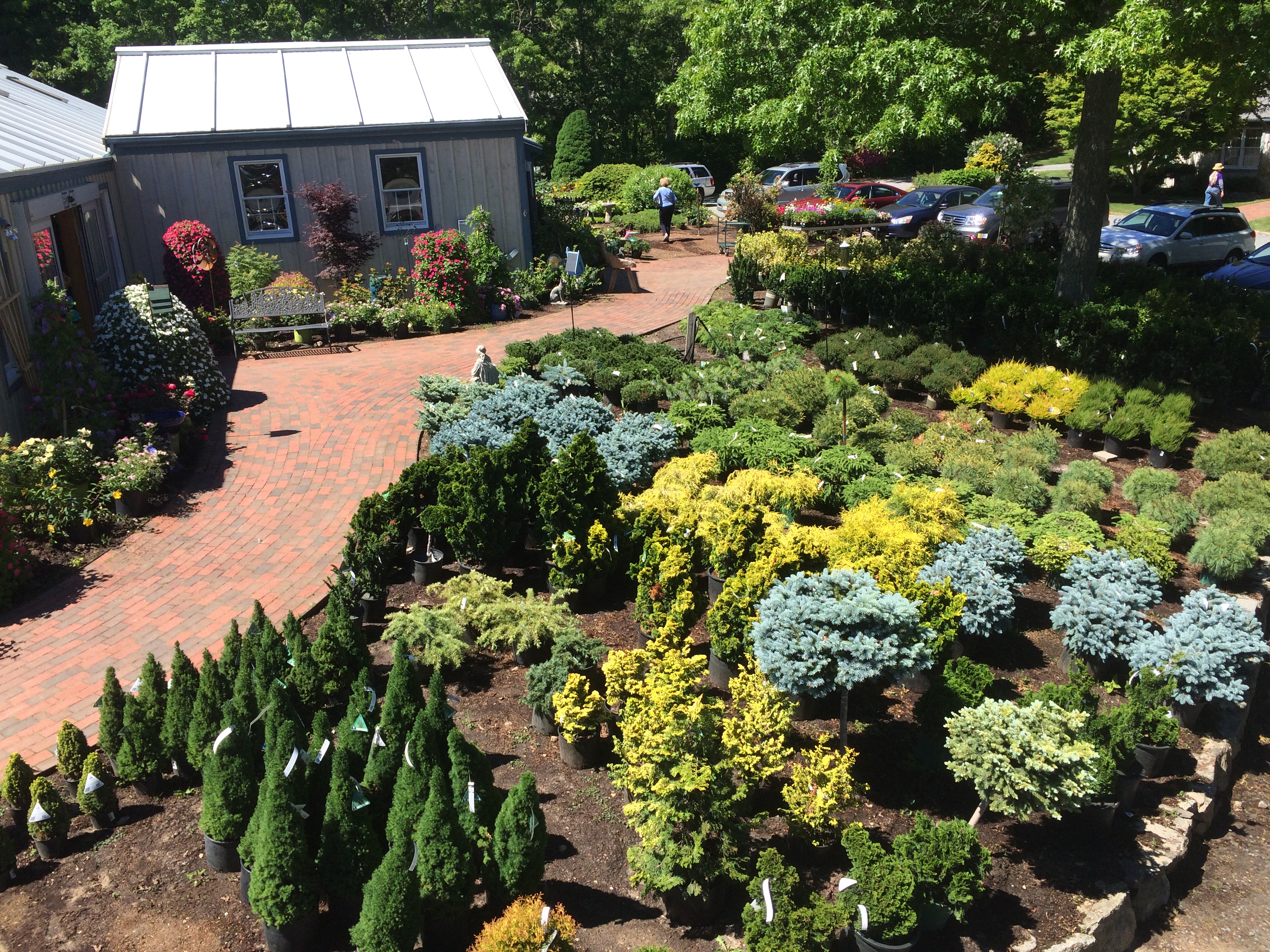 Crocker Nurseries