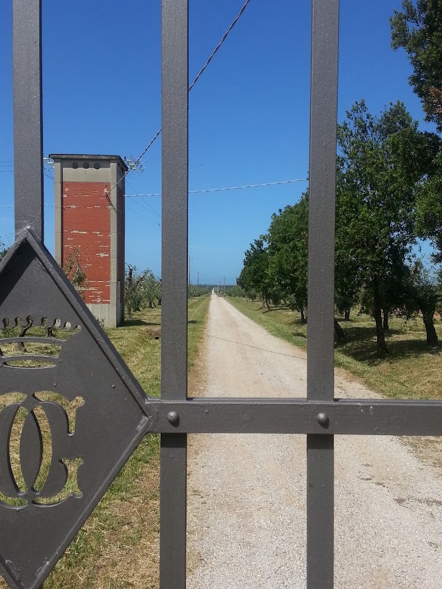 Tenuta Guado al Tasso - Antinori