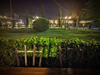 Photos of Taropood Cafe Gallery