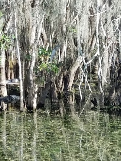 Photos of H.P. Williams Roadside Park