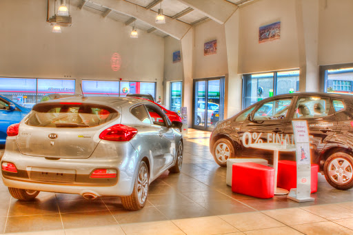Shelly Motors - Epsom (Kia Dealer) - Thumbnail