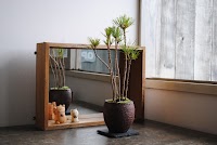 インテリア盆栽工房BonCyu