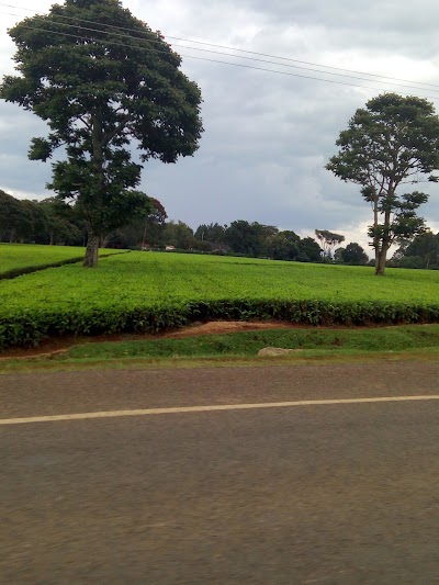 Photos of Rays Place Guest House