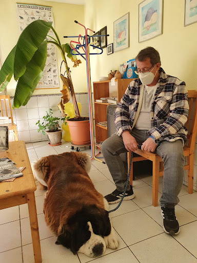 Dr.med.vet. Iven Heinrich Praktischer Tierarzt Gallery - Germany