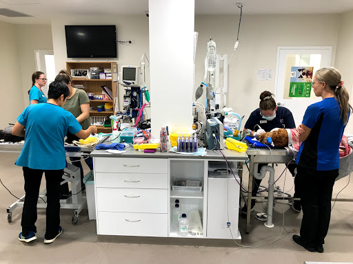 Kalamunda Veterinary Hospital Gallery - Australia