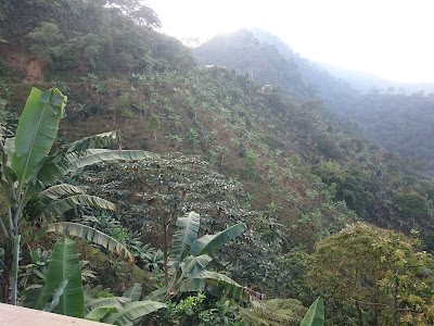 Photos of San Pedro(sierra Nevada)