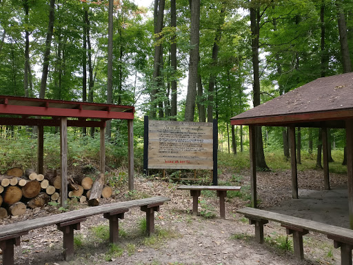 Comden-Towle Model Forest Gallery - United States