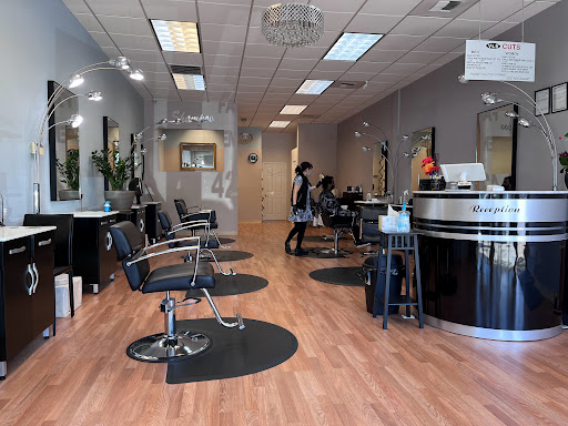 VLV CUTS - Visual
