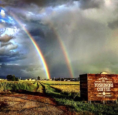 ヨシノリコーヒー東川本店