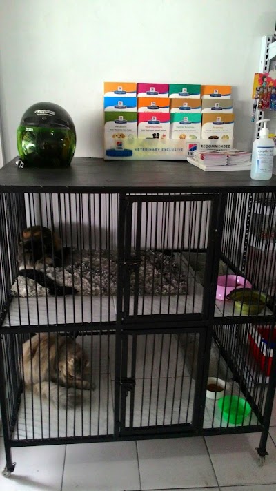 Photos of Dal's Pet