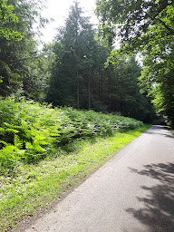 Photo n°4 de Domaine de la Guignardière à Vievy-le-Rayé (Chambre d'hôtes)