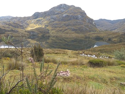 Photos of Parque Nacional Cajas - laguna Toreadora